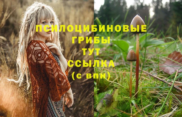 метамфетамин Балахна