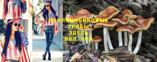 молекула духа Балабаново