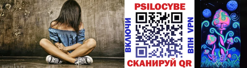 наркошоп Кондрово Галлюциногенные грибы Psilocybe